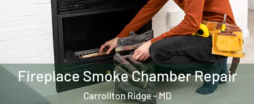 Fireplace Smoke Chamber Repair Carrollton Ridge - MD