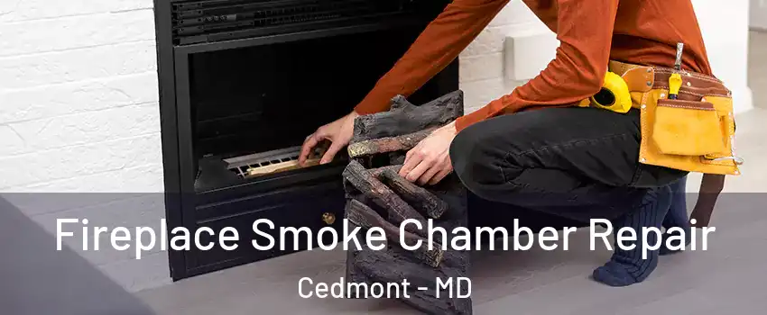 Fireplace Smoke Chamber Repair Cedmont - MD