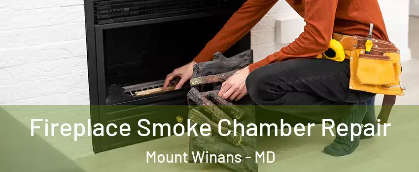 Fireplace Smoke Chamber Repair Mount Winans - MD