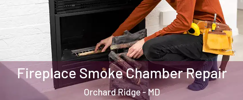 Fireplace Smoke Chamber Repair Orchard Ridge - MD