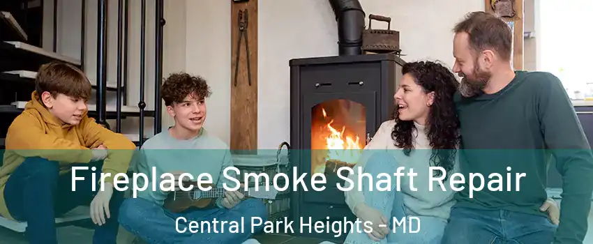 Fireplace Smoke Shaft Repair Central Park Heights - MD