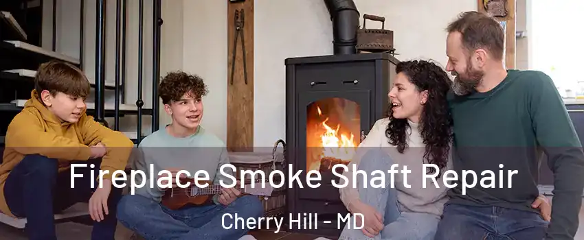 Fireplace Smoke Shaft Repair Cherry Hill - MD