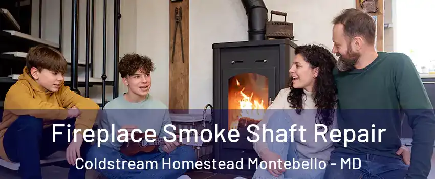 Fireplace Smoke Shaft Repair Coldstream Homestead Montebello - MD