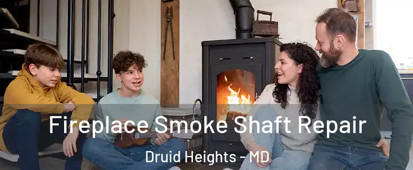 Fireplace Smoke Shaft Repair Druid Heights - MD