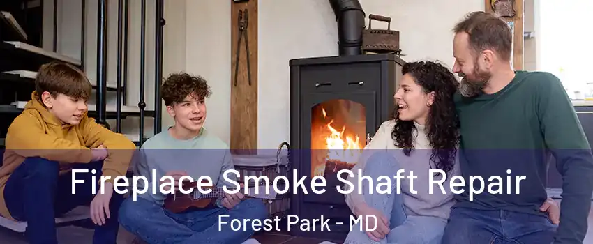 Fireplace Smoke Shaft Repair Forest Park - MD