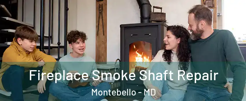 Fireplace Smoke Shaft Repair Montebello - MD