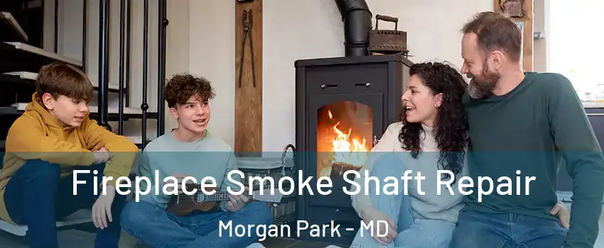 Fireplace Smoke Shaft Repair Morgan Park - MD