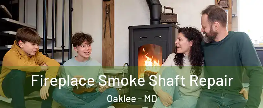 Fireplace Smoke Shaft Repair Oaklee - MD