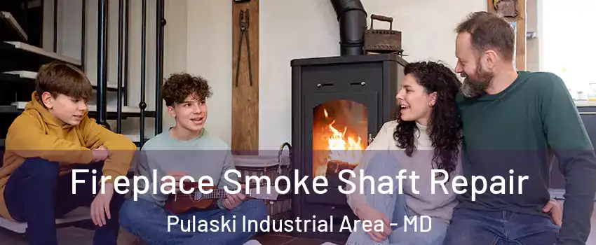 Fireplace Smoke Shaft Repair Pulaski Industrial Area - MD