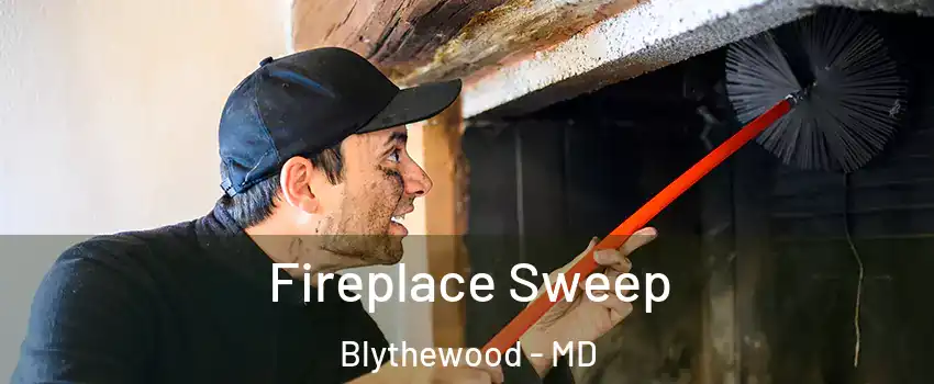 Fireplace Sweep Blythewood - MD