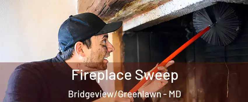 Fireplace Sweep Bridgeview/Greenlawn - MD