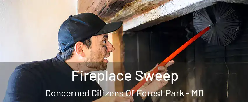 Fireplace Sweep Concerned Citizens Of Forest Park - MD