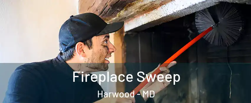 Fireplace Sweep Harwood - MD