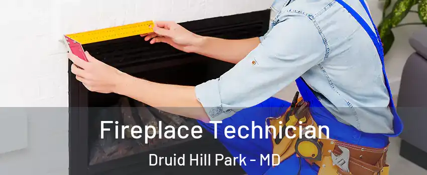 Fireplace Technician Druid Hill Park - MD