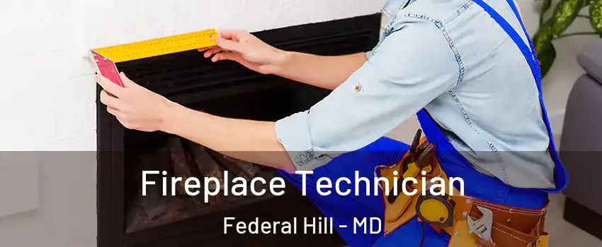 Fireplace Technician Federal Hill - MD