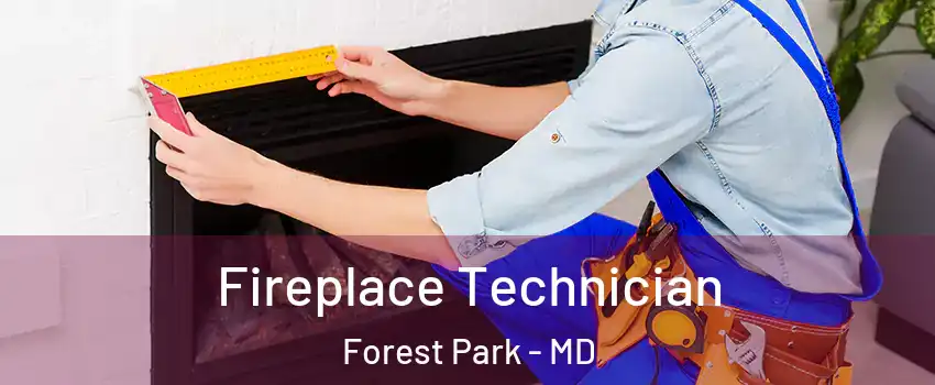 Fireplace Technician Forest Park - MD