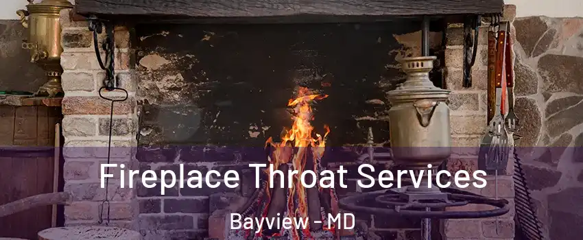 Fireplace Throat Services Bayview - MD