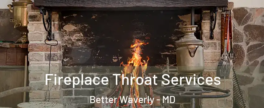 Fireplace Throat Services Better Waverly - MD