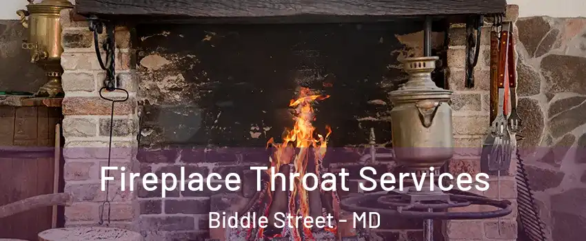 Fireplace Throat Services Biddle Street - MD