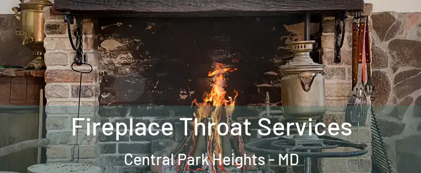 Fireplace Throat Services Central Park Heights - MD