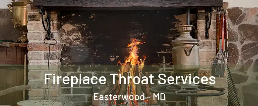 Fireplace Throat Services Easterwood - MD