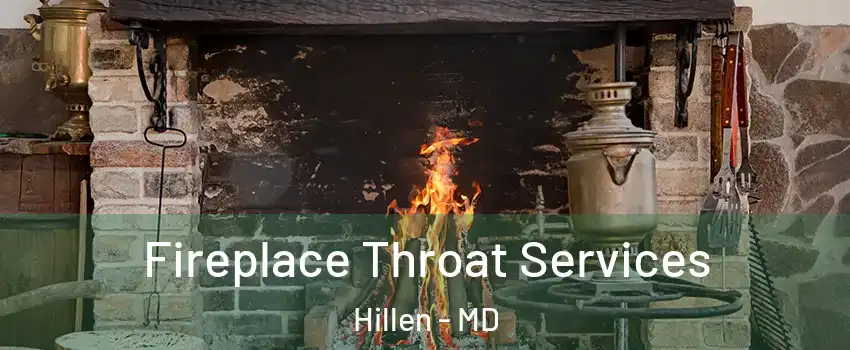 Fireplace Throat Services Hillen - MD