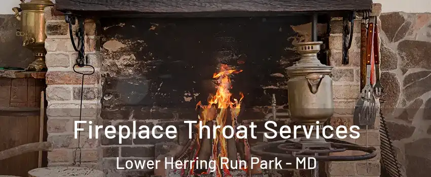 Fireplace Throat Services Lower Herring Run Park - MD