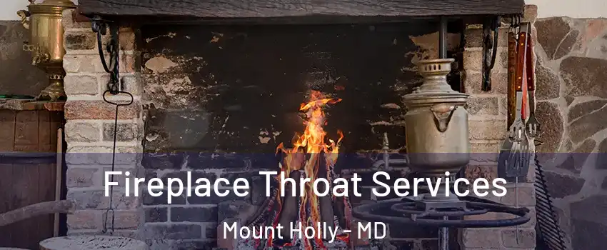 Fireplace Throat Services Mount Holly - MD