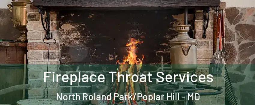 Fireplace Throat Services North Roland Park/Poplar Hill - MD