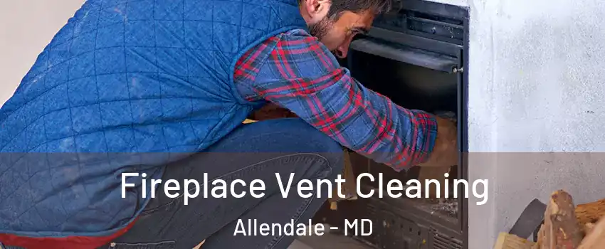 Fireplace Vent Cleaning Allendale - MD