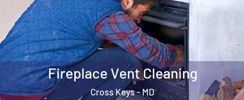 Fireplace Vent Cleaning Cross Keys - MD