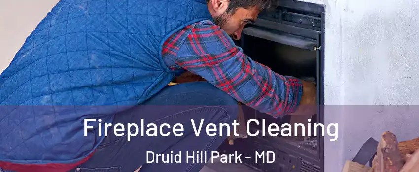 Fireplace Vent Cleaning Druid Hill Park - MD