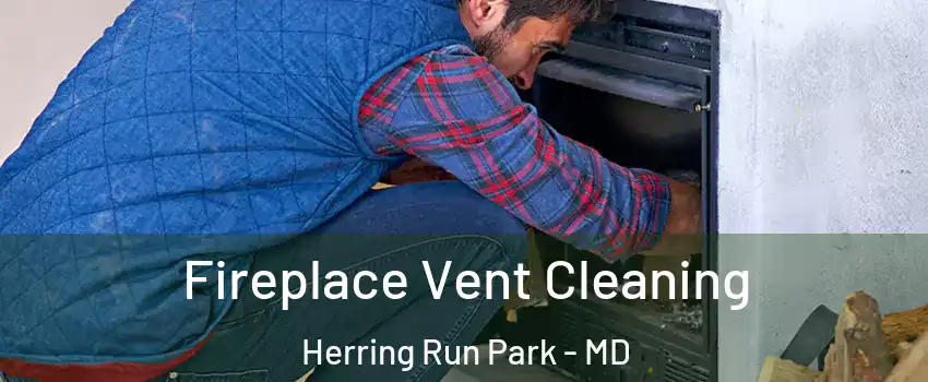 Fireplace Vent Cleaning Herring Run Park - MD