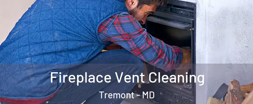 Fireplace Vent Cleaning Tremont - MD