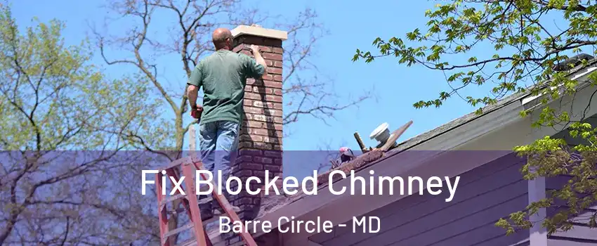 Fix Blocked Chimney Barre Circle - MD