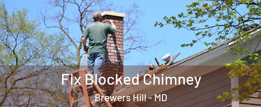 Fix Blocked Chimney Brewers Hill - MD