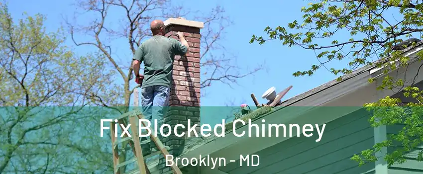 Fix Blocked Chimney Brooklyn - MD