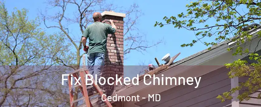 Fix Blocked Chimney Cedmont - MD