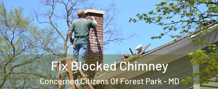 Fix Blocked Chimney Concerned Citizens Of Forest Park - MD