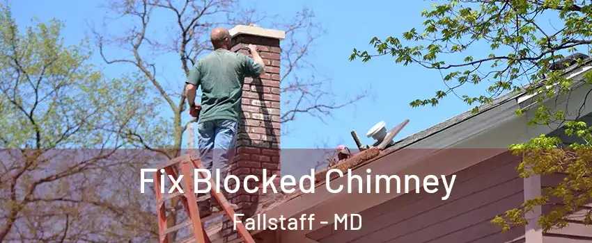 Fix Blocked Chimney Fallstaff - MD