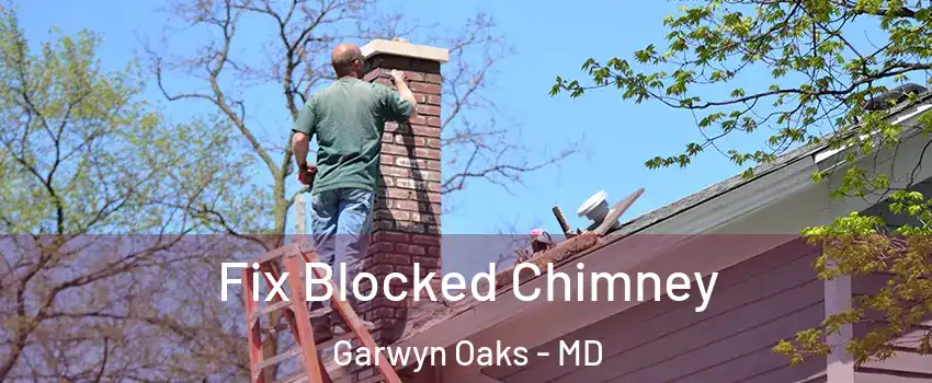 Fix Blocked Chimney Garwyn Oaks - MD