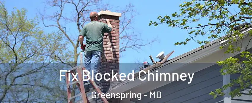 Fix Blocked Chimney Greenspring - MD