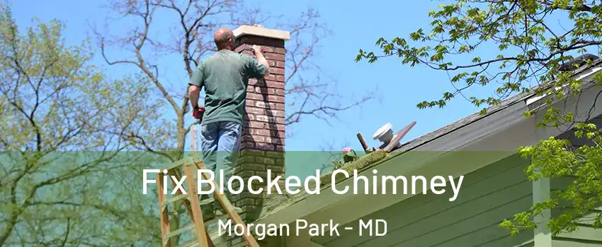 Fix Blocked Chimney Morgan Park - MD