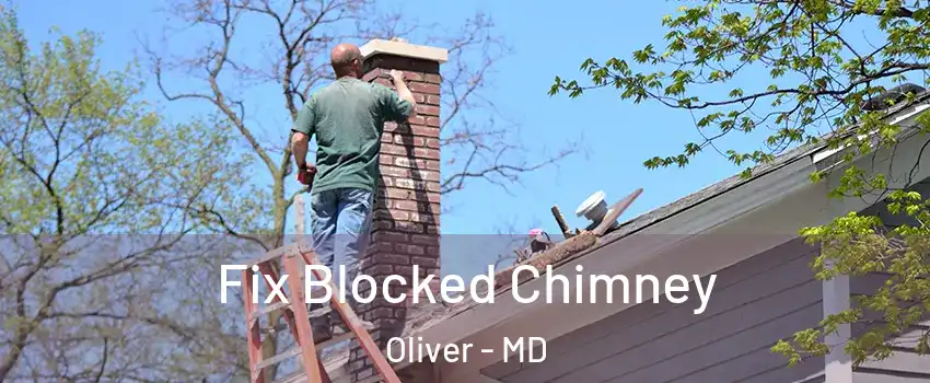 Fix Blocked Chimney Oliver - MD