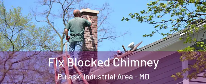 Fix Blocked Chimney Pulaski Industrial Area - MD