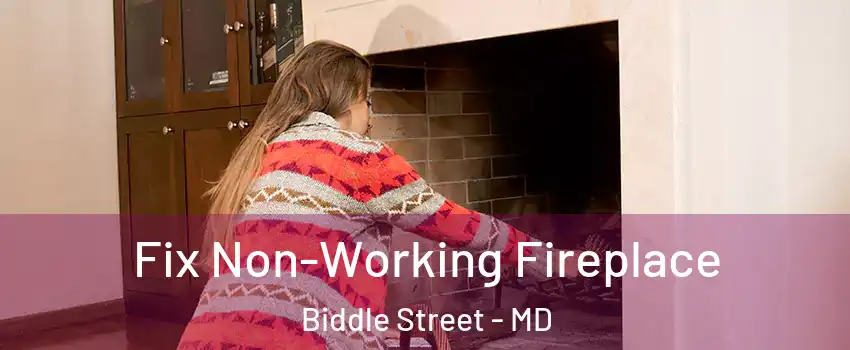 Fix Non-Working Fireplace Biddle Street - MD