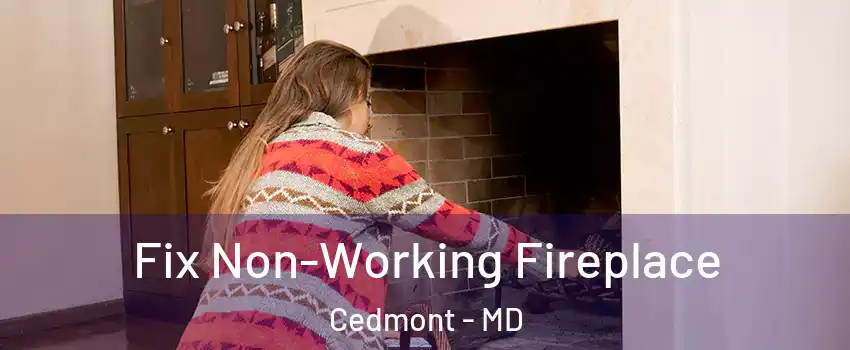 Fix Non-Working Fireplace Cedmont - MD