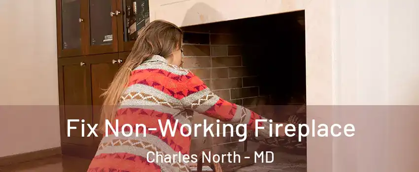 Fix Non-Working Fireplace Charles North - MD