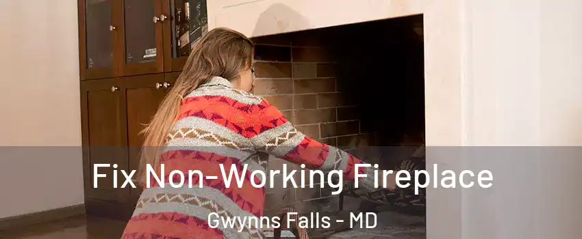 Fix Non-Working Fireplace Gwynns Falls - MD