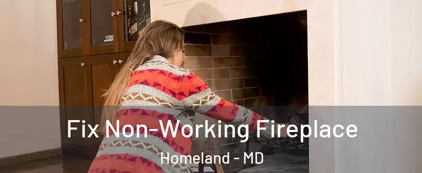 Fix Non-Working Fireplace Homeland - MD